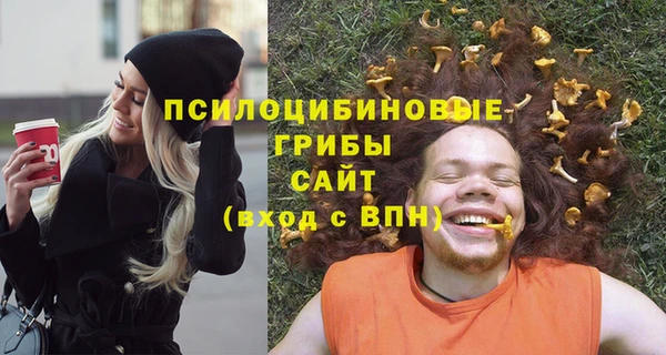 каннабис Коряжма