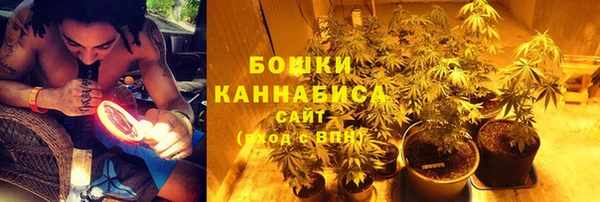 каннабис Коряжма