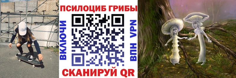 Купить  Венёв  Псилоцибиновые грибы мухоморы 